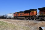 BNSF 9049 Roster shot